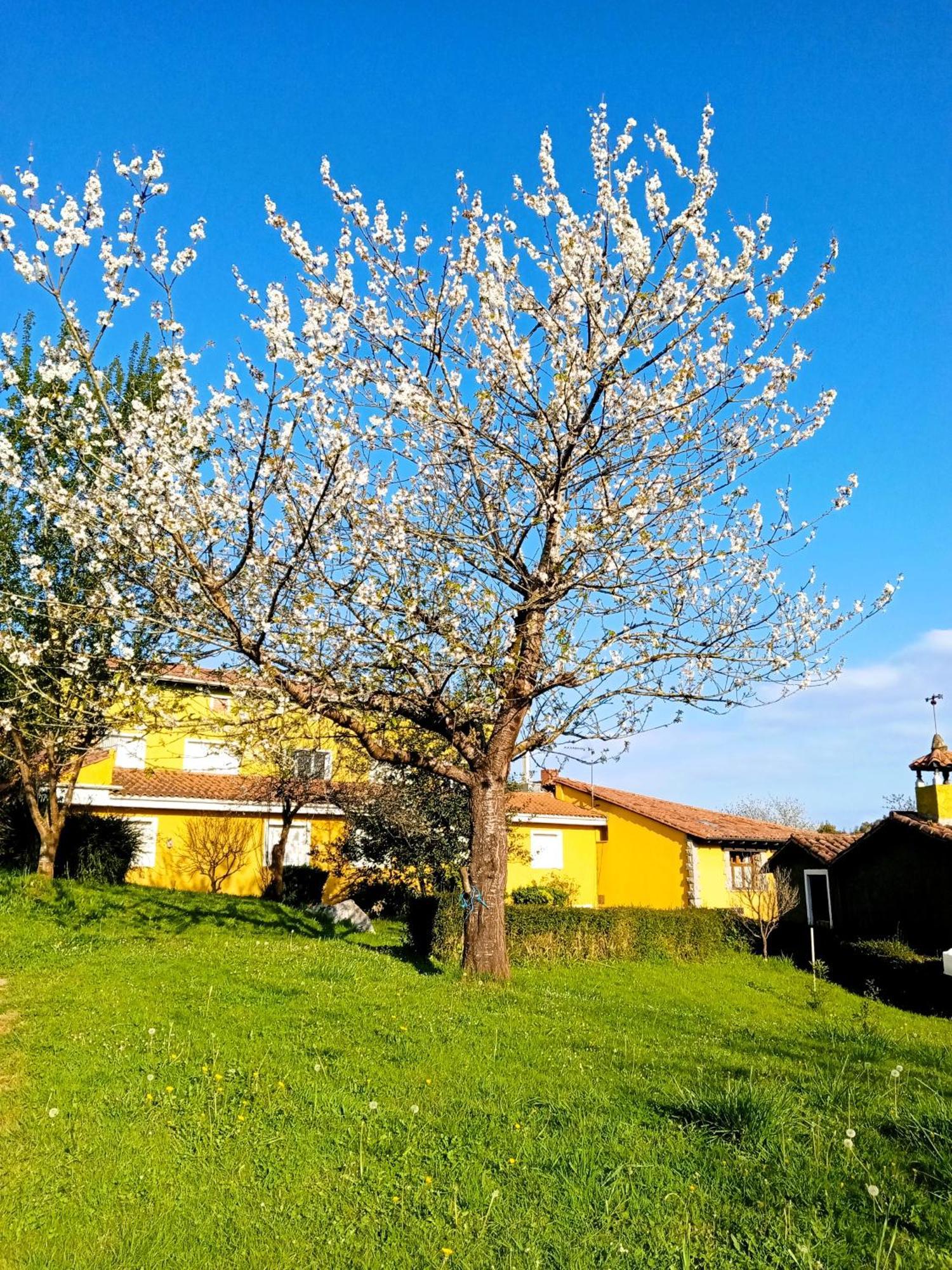 Mariaje Appartement Barro (Llanes)